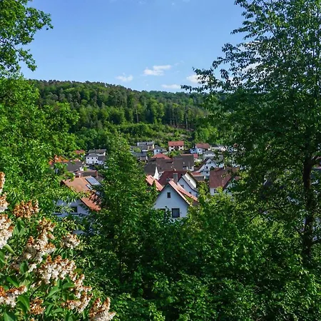 Cozy In With Sauna * Hinterweidenthal