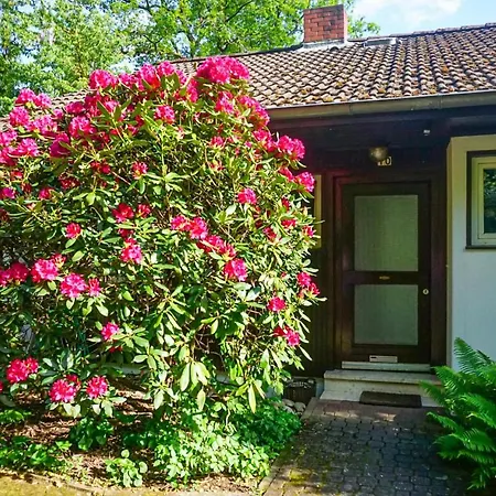 Apartamento Stunning In Hinterweidenthal