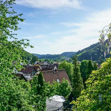 Stunning In * Hinterweidenthal