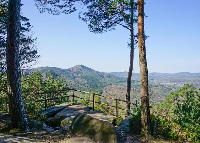 Apartament Stunning In